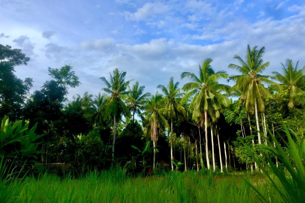 Chemel Homestay Kuta  Exterior foto